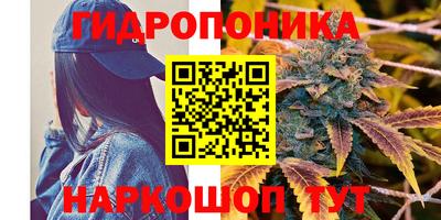 стафф Анапа