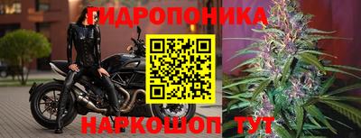 стафф Анапа